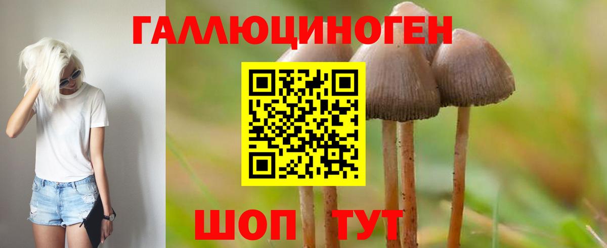 Псилоцибиновые грибы Cubensis  Вход с VPN  Избербаш  Галлюциногенные грибы Psilocybine cubensis 