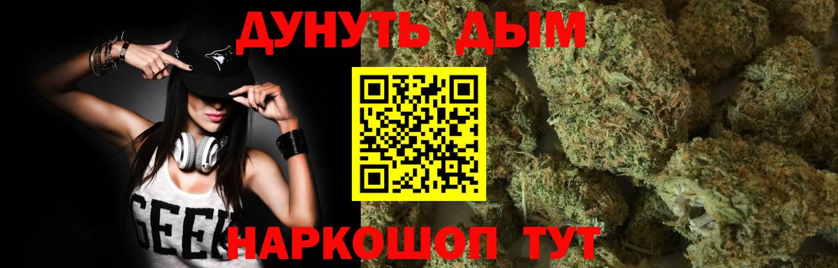 Бошки Шишки планчик  Вход с VPN  Избербаш  Канабис индика 